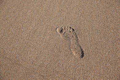 戴先生十年一冠！DRX鏖战五局获得S12总决赛冠军